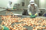 Tái cơ cấu ở các DN thua lỗ: Chưa “dọn chỗ”cho những ông chủ mới
