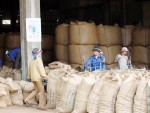 Sốt ruột với DN cà phê ôm thuế VAT bỏ trốn