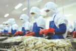 Khơi thông cho DN mở rộng thị trường Nga