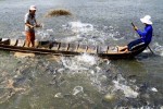 Úc mở cửa đón thủy sản Việt
