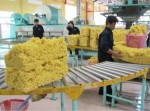 Đẩy nhanh tiến độ cổ phần hoá 2 Công ty cao su Bà Rịa và Tân Biên