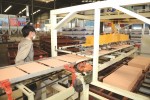 Khi ông lớn lận thuế