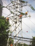 “Sướng” như doanh nghiệp nhà nước