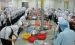 Tọa đàm doanh nghiệp Hàn Quốc - Đà Nẵng