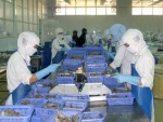 CLP làm giàu từ con tôm