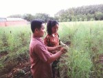 Những cái “lạ” ở một Quỹ tín dụng Nhân dân cơ sở