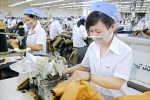 Doanh nghiệp nhỏ nhưng tiềm lực lớn