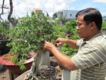 Xuất khẩu cây cảnh chưa vào ý thức
