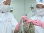 Xuất khẩu thủy sản đạt 1,8 tỷ USD trong quý 3