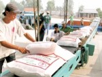 Hợp đồng XK gạo cho Philippines đẩy giá gạo tăng 10%