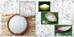 Giá gạo Việt Nam xuất khẩu tiếp tục tăng