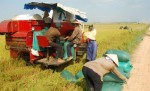 Lấn cấn góp vốn bằng đất hay cổ phiếu ưu đãi