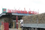 Mía đường – Nhiệt điện Gia Lai chuyển ngân hàng tái tài trợ các dự án