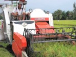 Bê trễ như cơ khí nông nghiệp