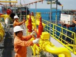 Yêu cầu khẩn trương nộp báo cáo giám sát tài chính, xếp loại DNNN năm 2013