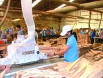 Thách thức và cơ hội của gỗ Việt