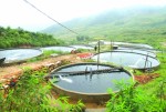Kết nối ngân hàng - doanh nghiệp: Góp phần chuyển dịch cơ cấu kinh tế