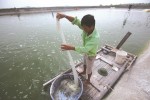 Hiệu quả từ mô hình trang trại
