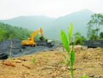 Tăng trưởng xanh: Con đường buộc phải lựa chọn