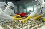 DN thủy sản muốn gia hạn vay ngoại tệ đến hết năm 2013