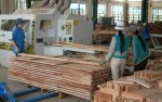 Xuất khẩu bị ép giá, đồ gỗ quay về nội địa