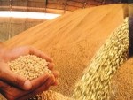 Trao đổi thương mại Việt Nam-Brazil sẽ vượt 2 tỷ USD