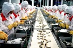 Xuất khẩu thủy sản 10 tháng ước đạt gần 5,5 tỷ USD