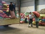 Tập trung thanh, kiểm tra các DN có rủi ro cao về thuế