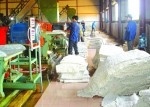 Vỡ trận nông sản xuất khẩu