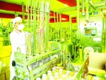 Thực phẩm Việt hướng đến xuất khẩu