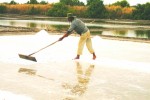 Sẽ hạn chế nhập muối công nghiệp