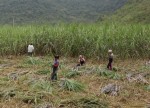Giữa ngã ba… đường