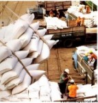 Việt Nam trúng thầu xuất 500.000 tấn gạo cho Philippines