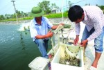 Tìm điểm tựa từ vốn vay ngân hàng