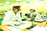 Đón TPP, doanh nghiệp ngoại xăng xái