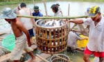 Điểm sáng thúc đẩy phát triển kinh tế vùng