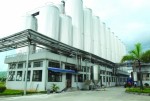 Tôi phải cảm ơn nhân viên của mình