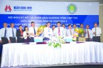 Liên kết để hình thành chuỗi lúa gạo ĐBSCL