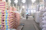 Đã xuất khẩu được 5,55 triệu tấn gạo, trị giá hơn 2,4 tỷ USD
