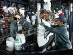 Nghiêm cấm sản xuất phân bón khi chưa được cấp giấy phép