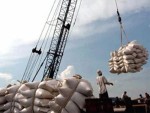 Gia nhập CISG:  Thêm lợi thế cho xuất khẩu