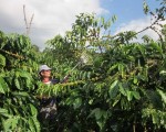 Cưỡng chế thi hành án hơn 93 tỷ đồng với Công ty Trường Ngân