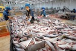 Xuất khẩu đừng chê thị trường nhỏ