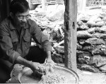 Cần sớm có giải pháp khắc phục thiếu lúa giống