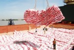 Nông sản thấp thỏm ra thế giới