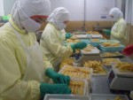 Thiệt vì xuất tôm nguyên liệu