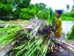 Kiến nghị rồi thì sao?
