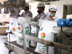 Tăng cường quản lý nhập khẩu, kinh doanh phân bón