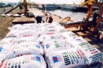 CTCP Thần Nông Thanh Hóa: Thành công nhờ đổi mới công nghệ