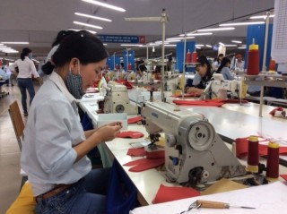 Dệt may đến thời gặt mùa vàng